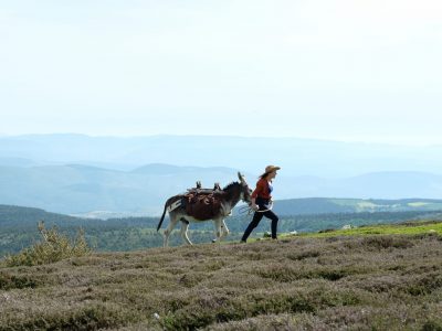 CEVENNES_J11-97